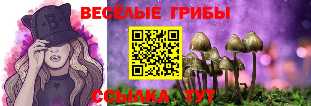 Псилоцибиновые грибы Psilocybine cubensis  Вход с VPN  хочу наркоту  Псилоцибиновые грибы Cubensis  Шали 